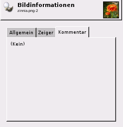 Der Reiter Kommentar des Dialogfensters